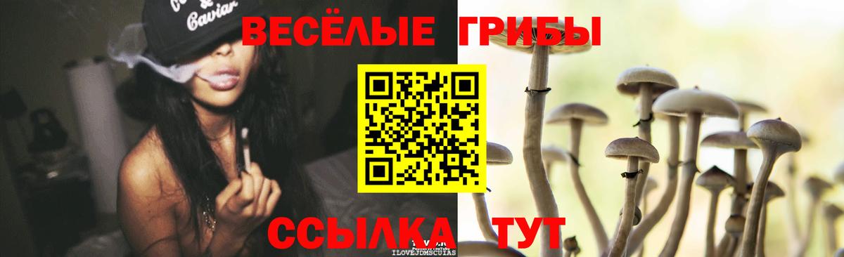 Псилоцибиновые грибы MAGIC MUSHROOMS Заводоуковск